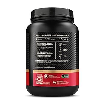 Optimum Nutrition (ON) Gold Standard 100% Whey Protein Powder - 5 lbs, 2.27 kg (Double Rich Chocolate)